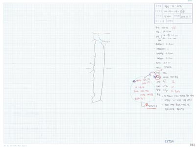 도면_사적 _경주 월성_월성 라구역 유물도면 ③ WS-라-09-(123)/수로 북편 라68.1 E18.1 수막새