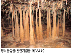 당처물동굴(천연기념물 제384호)