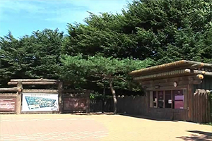 서울 암사동 유적