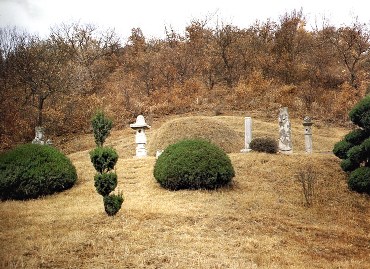 이경석선생묘