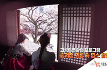 고궁 특별 관람 프로그램 숨겨진 고궁 속 명소 탐방