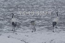 두루미의 겨울나기