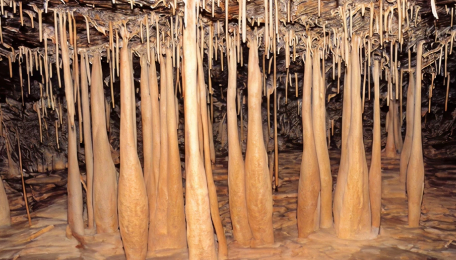 당처물동굴(천연기념물 제384호)