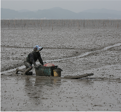 한국의 갯벌 (2021년)