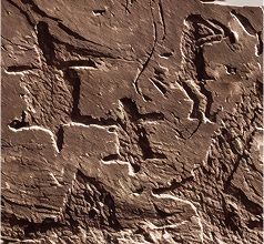 반구천의 암각화(2025년)