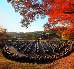한국의 장 담그기 문화 (2024년)