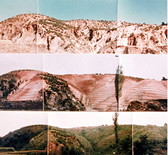 산림녹화기록물 (2025년)