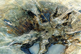 남해안일대 공룡화석지