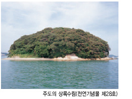 주도의 상록수림(천연기념물 제28호)