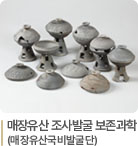 매장유산 조사발국 보존과학(매장유산국비발굴단)