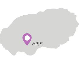 제주 서귀포 위치