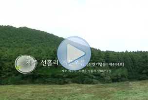 제주 선흘리 거문오름