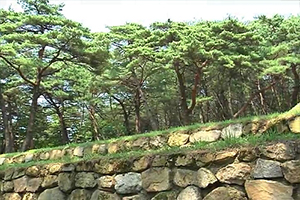 경주 일성왕릉