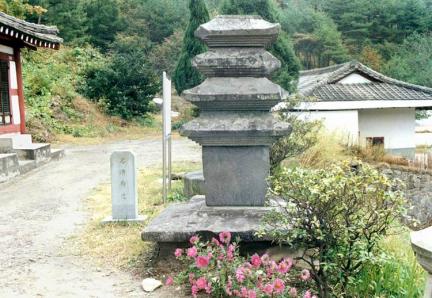 대표 이미지