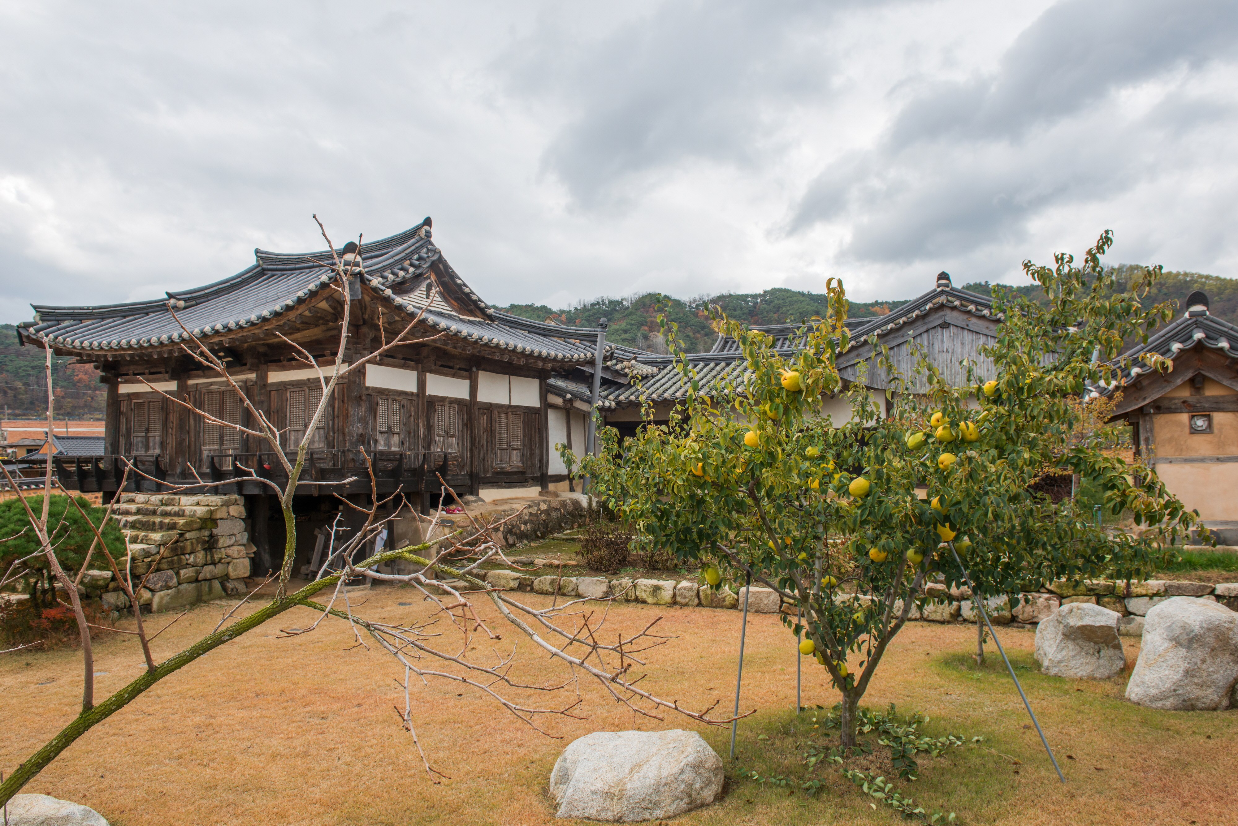 국가유산이미지 | 이우당종택_사랑마당 (촬영년도 : 2015년) 이우당종택_사랑마당 (촬영년도 : 2015년)
