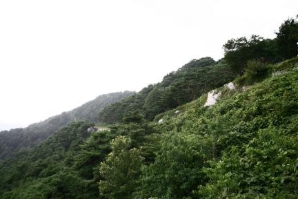 부여성흥산성