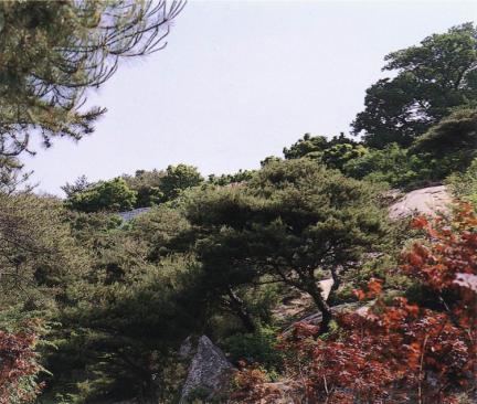 부여성흥산성