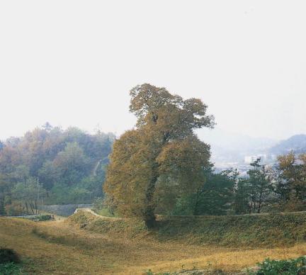 산성내부