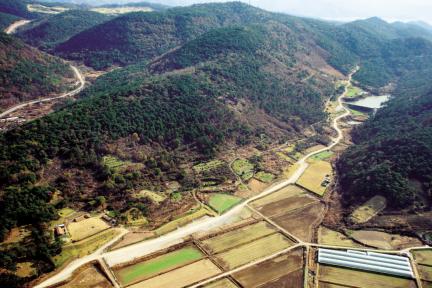 화순 효산리와 대신리 지석묘군