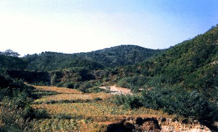 경주 명활성