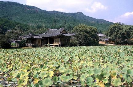 경주 서출지 전경