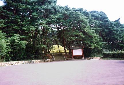 경주 지마왕릉 전경