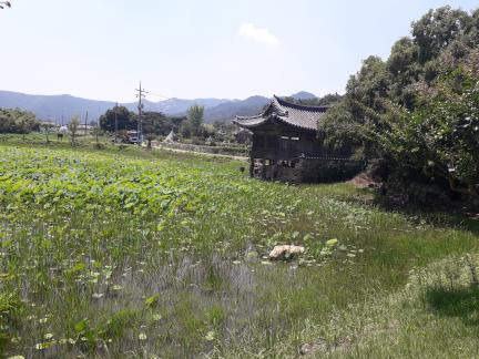 경주 서출지 전경 (고도보존육성과, 2019)