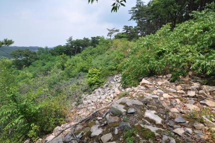 경주 명활성 탐방로 인근 잔존성벽 유구 (고도보존육성과, 2017)