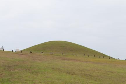 고성 송학동 고분군_능선2 (촬영년도 : 2015년)