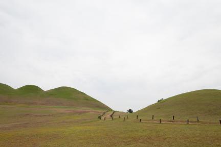 고성 송학동 고분군_능선3 (촬영년도 : 2015년)