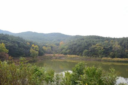 경주 남산신성_일원1 (촬영년도 : 2015년)