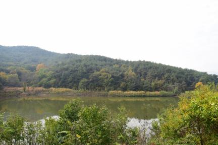 경주 남산신성_일원2 (촬영년도 : 2015년)