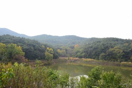 경주 남산신성_일원3 (촬영년도 : 2015년)