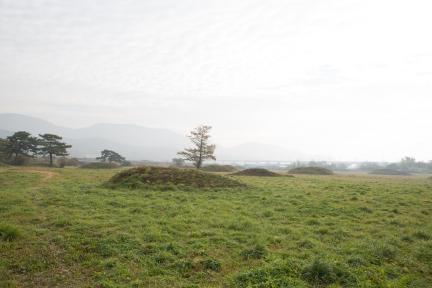 경주 금척리 고분군