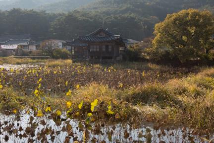 경주 서출지_전경1 (촬영년도 : 2015년)