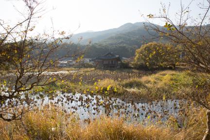 경주 서출지_전경2 (촬영년도 : 2015년)