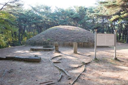 경주 정강왕릉_원경 (촬영년도 : 2015년)