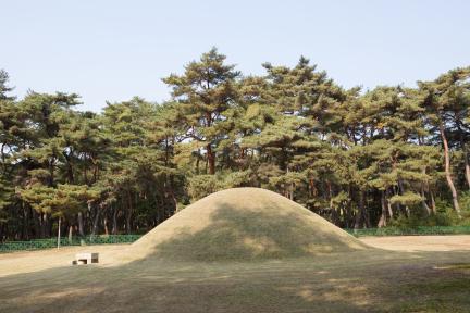 경주 경애왕릉_근경 (촬영년도 : 2015년)