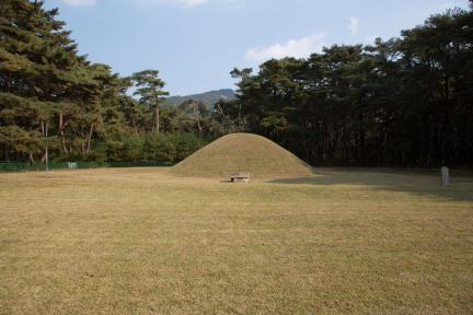 경주 경애왕릉_전경 (촬영년도 : 2015년)