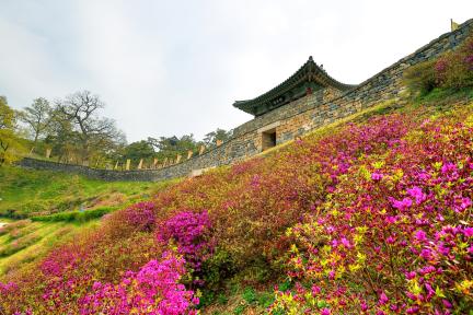 공주 공산성_2020년 촬영(출처 : 문화재청 대변인실)