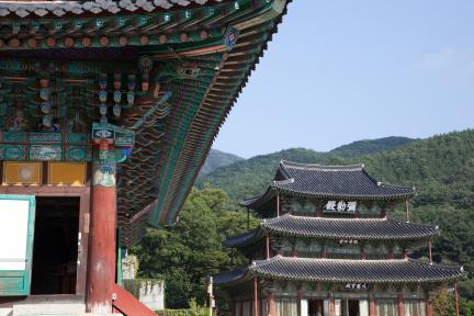 김제 금산사 일원_대적광전 처마와 미륵전 (촬영년도 : 2015년)