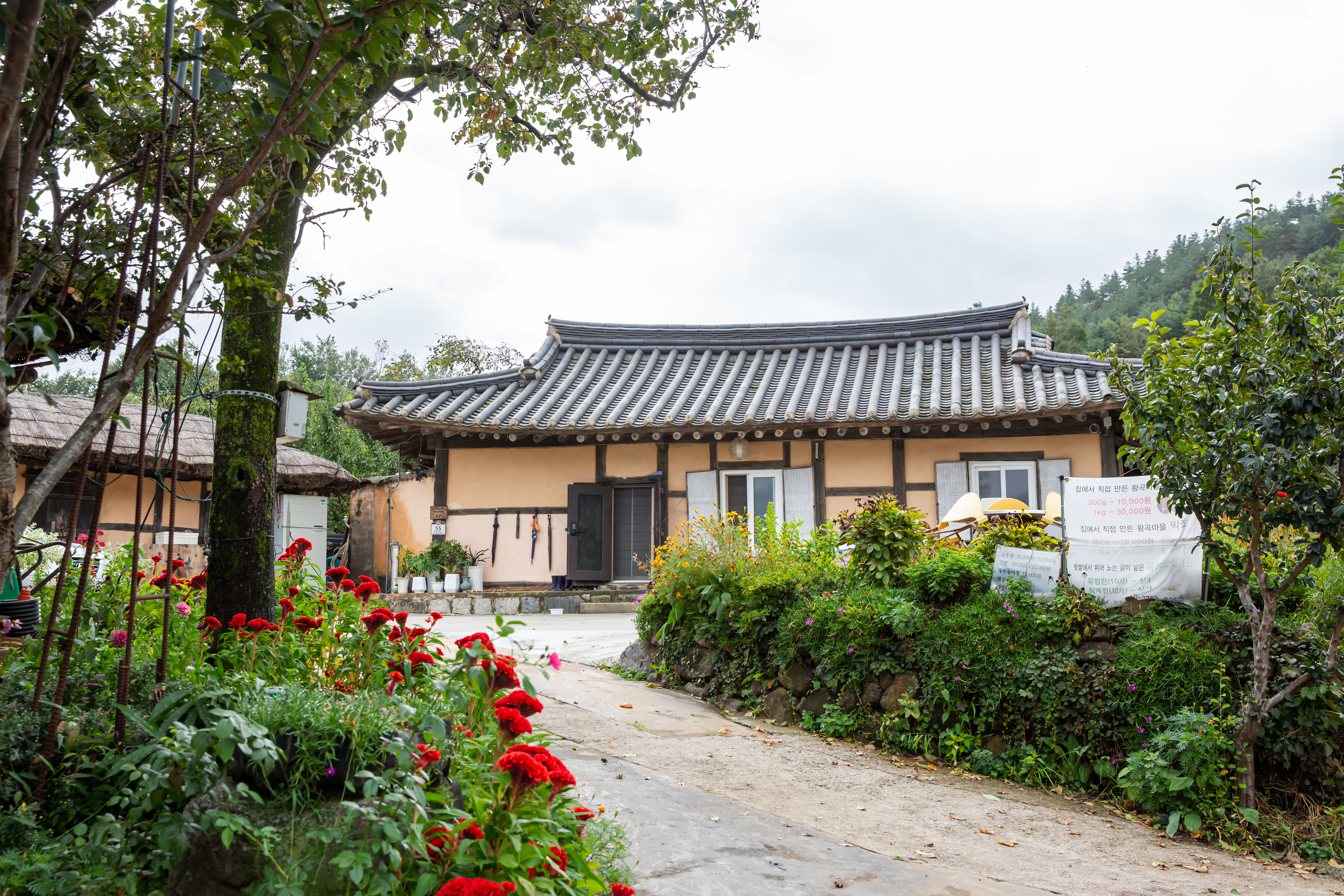 국가유산이미지 | 고성 왕곡마을 고성 왕곡마을