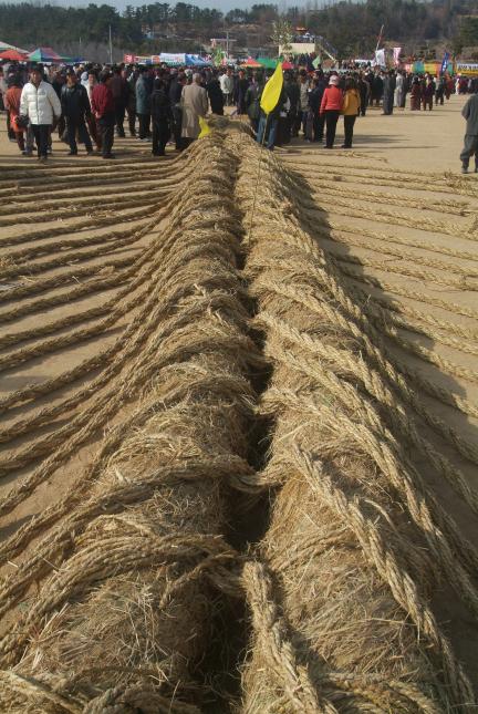 영산줄다리기 대표 이미지