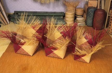 채상장 대표 이미지