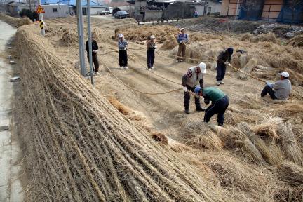 기지시줄다리기 대표 이미지