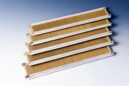 바디장 대표 이미지