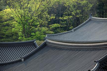 번와장 대표 이미지