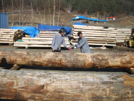 대목장 대표 이미지