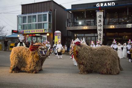속초사자놀이 대표 이미지