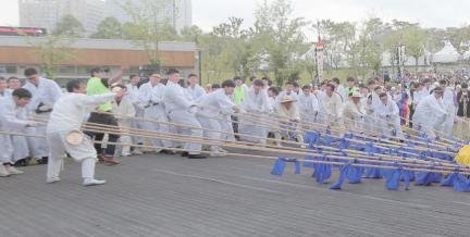 용암강다리기 대표 이미지